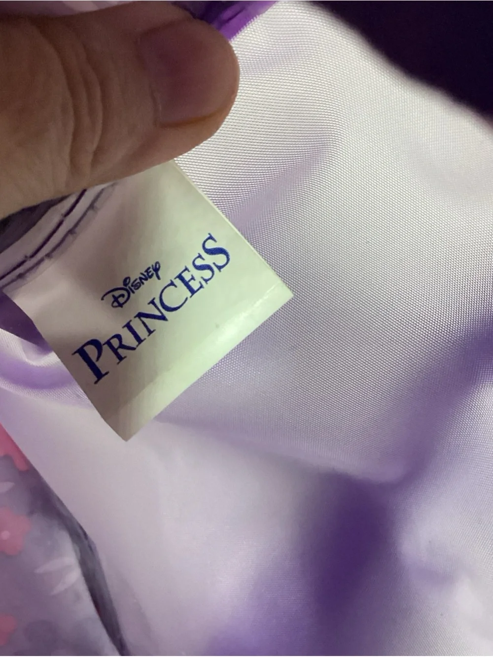 Disney this princess